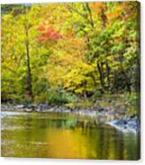 Autumn In The Smoky Mountains Canvas Print