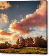 Autumn Landscape And Pink Clouds Canvas Print