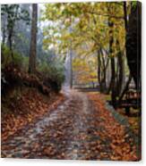 Autumn Landscape With Trees And Autumn Leaves On The Ground After Rain Canvas Print