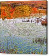 Autumn Layers Canvas Print
