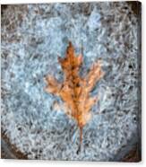 Autumn Leaf And Crackling Ice Canvas Print