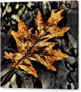 Autumn Leaf Floating Canvas Print