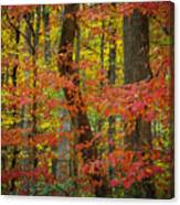 Autumn Leaves Ii Canvas Print