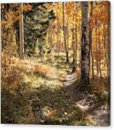 Autumn Magic Canvas Print
