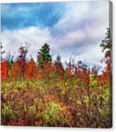 Autumn Nature Colorful Pallett Canvas Print