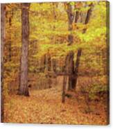 Autumn On The Trail Of Twelve Stones Canvas Print