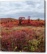 Autumn Red Graveyard Fields Panorama Canvas Print