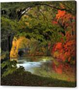 Autumn Reverie Canvas Print