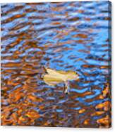 Autumn Ripples Canvas Print