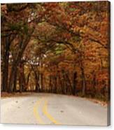 Autumn Road Canvas Print