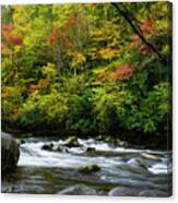 Autumn Stream 2 Canvas Print