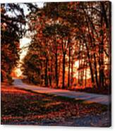 Autumn Sunset Through The Trees Canvas Print