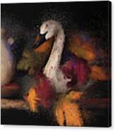 Autumn Swan Canvas Print