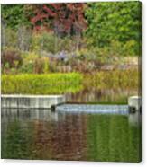Autumn Water Reflections Canvas Print