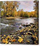 Autumn Yellow River Canvas Print
