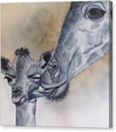 Baby Giraffe And Mama Canvas Print
