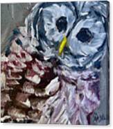Baby Barred Owl Canvas Print
