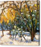 Backyard In Winter Canvas Print