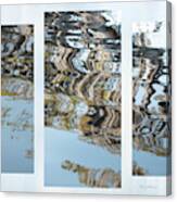 Bald Cypress Reflections Canvas Print