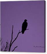 Bald Eagle In Silhouette Canvas Print