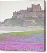Bamburgh Castle With Wild Flower Meadow Canvas Print