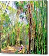 Bamboo  Forest #1 Canvas Print