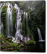 Banyu Wana Amertha Waterfall - Bali, Indonesia Canvas Print