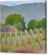 Barboursville Vineyards 1 Canvas Print