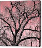 Bare Tree Canvas Print