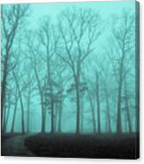 Bare Trees On A Foggy Morning Canvas Print
