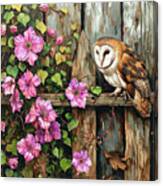 Barn Owl In Spring Canvas Print