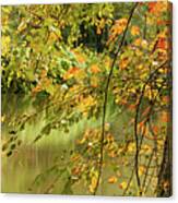 Bass Pond Biltmore Canvas Print