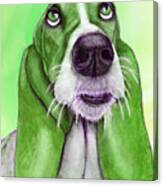Basset Hound Goes Green Canvas Print
