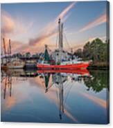 Bayou Morning, 12/23/20 Canvas Print