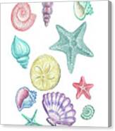 Beach Art Watercolor Sea Shells And Stars Art Iii Canvas Print