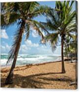 Beach Waves And Palm Trees, Pinones, Puerto Rico Canvas Print