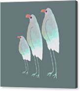 Beachy Birds Line Up Canvas Print