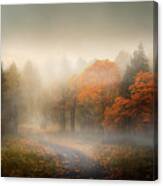 Beautiful Autumn Landscape Of Misty Forest And Path With Fall Le Canvas Print