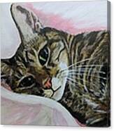 Beautiful Cat In Repose Canvas Print