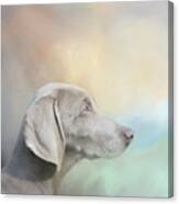 Beautiful Weimaraner Dog Canvas Print