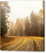 Beauty Around Every Bend Canvas Print