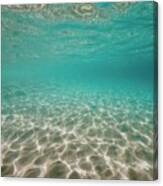 Beauty Below The Surface Canvas Print