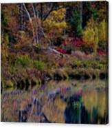 Beaver Dam Pond In October Canvas Print