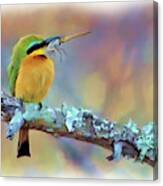 Bee-eater Canvas Print