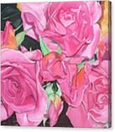 Belle's Pink Roses' 2011 Canvas Print