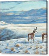 Belt Butte Winter Canvas Print