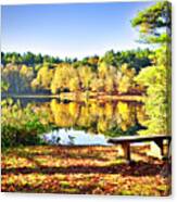 Bench At Bass Lake Canvas Print