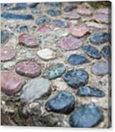 Berat Pebbles Canvas Print