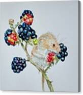 Berry Mouse Canvas Print