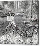 Bicycle In Flowers Black And White Canvas Print